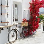  Bicycle and Bougainvillea, Oia